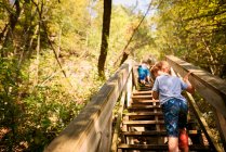 Crianças pequenas agarrando escadas trilha na floresta — Fotografia de Stock