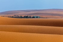 Vista de cerca de las dunas de arena en el desierto, Arabia Saudita - foto de stock