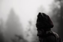 Monochromes Bild des niedlichen Chihuahua, der nach oben schaut — Stockfoto
