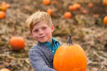 Junge trägt Kürbisse in einem Kürbisfeld — Stockfoto
