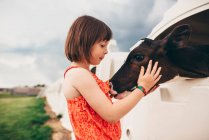 Junges Mädchen umarmt Baby Kuh — Stockfoto