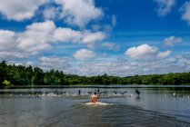 Homem adulto médio correndo atrás de patos em um lago — Fotografia de Stock