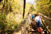 Niños pequeños agarrando escaleras de sendero en el bosque - foto de stock