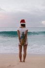 Femme portant un chapeau de Noël debout sur la plage tenant un ananas derrière son dos, Haleiwa, Hawaï, Amérique, USA — Photo de stock