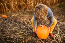Young boy carrying pumpkins in a pumpkin patch — Stock Photo