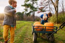 Three kids riding on a wagon with pumpkins in a pumpkin patch — Stock Photo