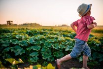 Jeune garçon courant à travers un patch de légumes — Photo de stock