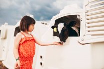 Young girl hugging baby cow — Stock Photo