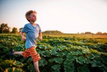 Мальчик бежит по овощной грядке — стоковое фото