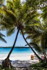 Красивий тропічний пляж з пальмами і блакитною водою — стокове фото