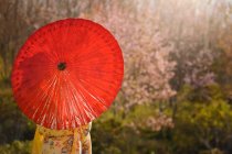 Mulher bonita vestindo japão roupas tradicionais e guarda-chuva segurando — Fotografia de Stock