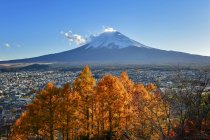Aussichtsreiche Aussicht auf Mt. fuji im herbst fallfarben, fujiyoshida, japan — Stockfoto