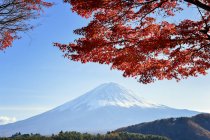 Otoño Japón con Mt. Fuji blackground, Fujiyoshida, Japón - foto de stock