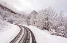 Bela paisagem com árvores cobertas de neve e estrada, o conceito de um dia nevado — Fotografia de Stock