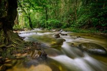 Colpo panoramico di bella cascata nella foresta — Foto stock