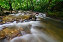Foto cênica de bela cachoeira na floresta — Fotografia de Stock