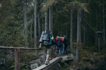 Cuatro personas caminando por un puente de madera en el bosque, Ucrania - foto de stock