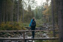 Женщина на мосту в лесу, Украина — стоковое фото