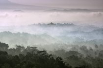Vista panoramica dell'alba su Borobudur, Giava centrale, Indonesia — Foto stock