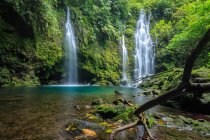 Cascata in una foresta pluviale tropicale, Sumatra occidentale, Indonesia — Foto stock