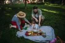 Famille avec un enfant pique-nique — Photo de stock