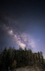 Мальовничий вид на царі Каньйон Національний парк вночі, Сьєрра-Невада, Каліфорнія, Америка, США — стокове фото