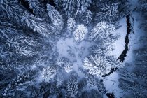 Vue aérienne d'une rivière traversant une forêt d'hiver, Zauchensee, Salzbourg, Autriche — Photo de stock
