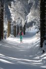 Женщина каталась на лыжах через лес, Хемпшир, Австрия — стоковое фото
