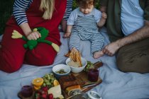 Семья с одним ребенком на пикнике — стоковое фото