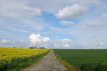 Vue panoramique sur la route à travers un paysage rural, Niort, France — Photo de stock