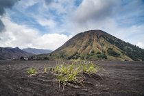 Мальовничим видом Mt бром, східній Java, Індонезії — стокове фото