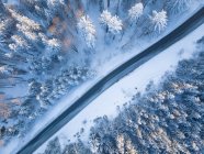 Вид з дороги через зимових краєвид, Gaisberg, Зальцбург, Австрія — стокове фото