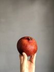 Frauenhand hält Granatapfel gegen Wand — Stockfoto
