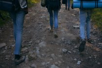 Tres personas caminando por el sendero en el bosque, Ucrania - foto de stock