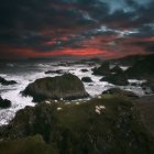 Ovejas pastando en acantilados costeros al amanecer, Ballintoy, Condado de Antrim, Irlanda del Norte, Reino Unido - foto de stock