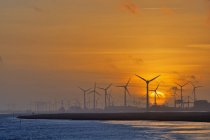 Turbinas eólicas na margem do rio Ems ao pôr-do-sol, Alemanha — Fotografia de Stock