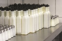 Керамічні пляшки оливкової олії з сіллю та перцем — стокове фото