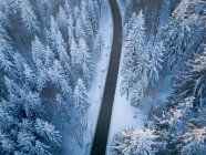 Veduta aerea di una strada attraverso il paesaggio invernale, Gaisberg, Salisburgo, Austria — Foto stock