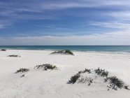 Vista panorámica de la playa de Pensacola, Santa Rosa Island, Florida, America, USA - foto de stock