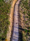Человек идет по грунтовой дороге, Вандилигон, Виктория, Австралия — стоковое фото
