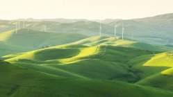 Ветряные турбины в катящемся ландшафте, Калифорния, Америка, США — стоковое фото