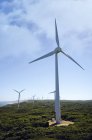 Ветряные турбины на ветряной электростанции, Олбани, Австралия — стоковое фото