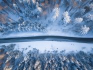 Vista aérea de una carretera a través del paisaje invernal, Gaisberg, Salzburgo, Austria - foto de stock