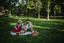 Семья с одним ребенком на пикнике — стоковое фото