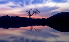 Vista panoramica di Riflessione di un albero nel lago al tramonto, Indonesia — Foto stock