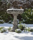 Scenic view of Robin sitting on a bird bath in the snow, Heswall, England, UK — Stock Photo