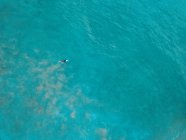Вид сёрфинга с воздуха, Кронулла, Новый Южный Уэльс, Австралия — стоковое фото