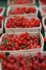 Пуансети червоної смородини на фермерському ринку — стокове фото