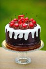 Chocolate birthday cake decorated with cherries and the number 5 — Stock Photo