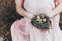 Mãos de mulher segurando um ninho com ovos de codorna — Fotografia de Stock